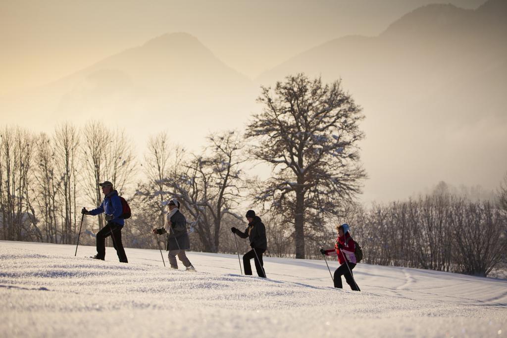 Bergheim Komfort Ferienwohnungen Walchsee Ngoại thất bức ảnh