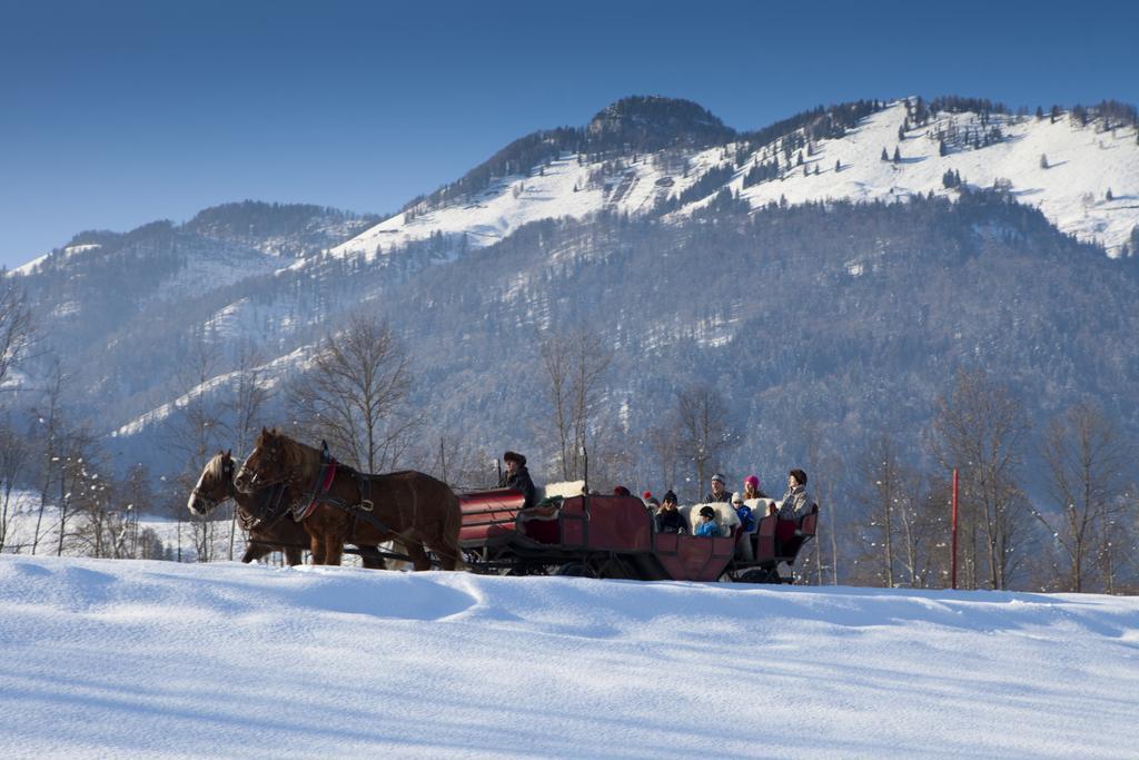 Bergheim Komfort Ferienwohnungen Walchsee Ngoại thất bức ảnh