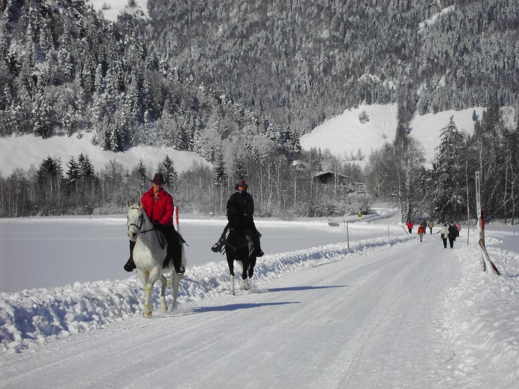 Bergheim Komfort Ferienwohnungen Walchsee Ngoại thất bức ảnh