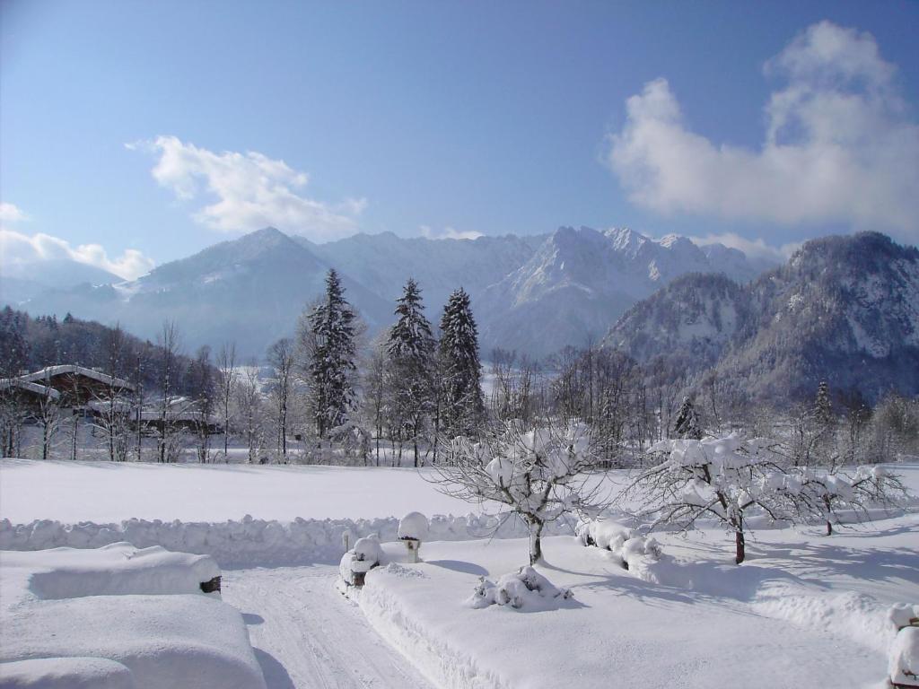 Bergheim Komfort Ferienwohnungen Walchsee Ngoại thất bức ảnh