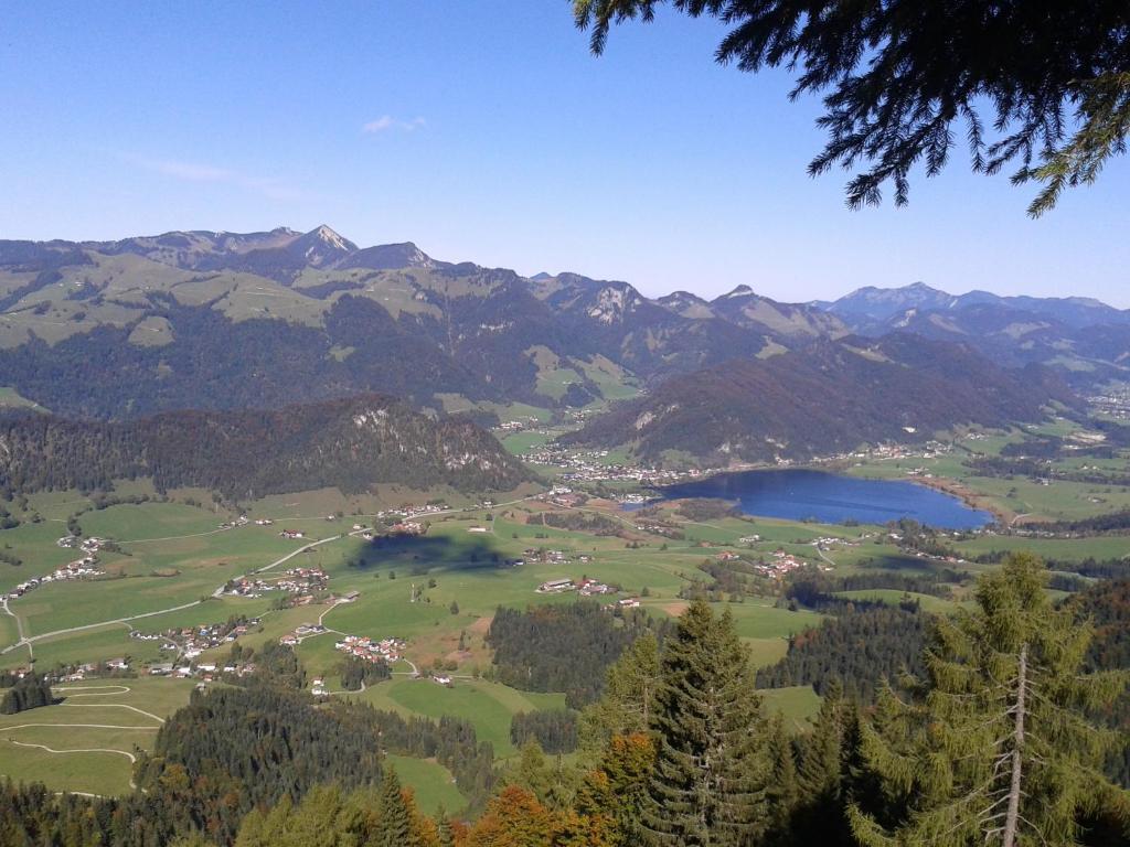 Bergheim Komfort Ferienwohnungen Walchsee Ngoại thất bức ảnh